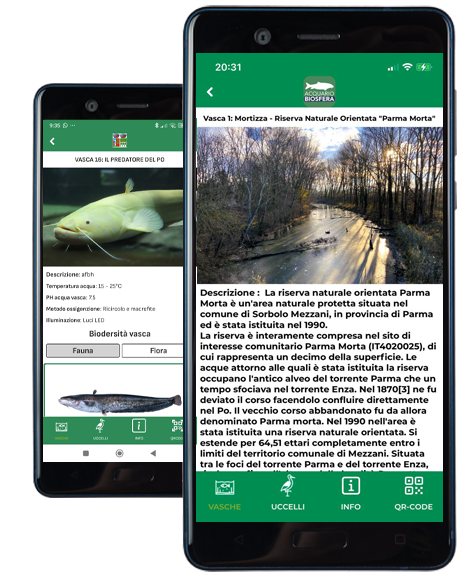 Screenshot App